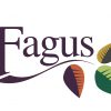 Fagus launches at the BCA